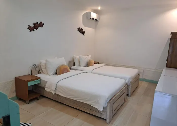 Lavender Star House